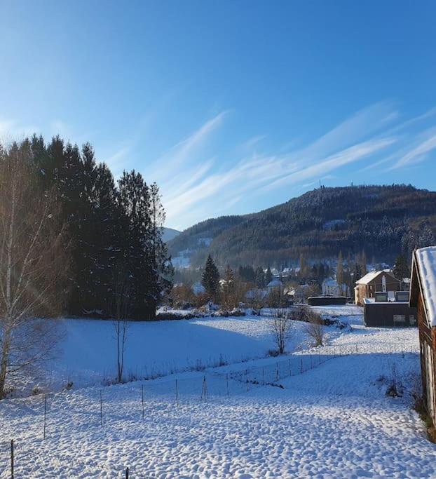 Chalet Les Boudieres 6 Pers Pres Gerardmer Cosy Billard Fraize Exterior foto