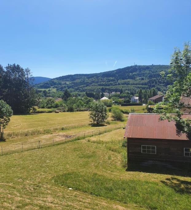 Chalet Les Boudieres 6 Pers Pres Gerardmer Cosy Billard Fraize Exterior foto